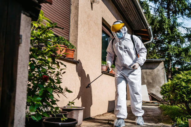 Best Affordable Pest Control Services  in Cimarron, KS