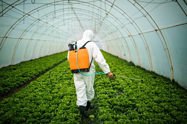 Best Pest Control Cost  in Cimarron, KS