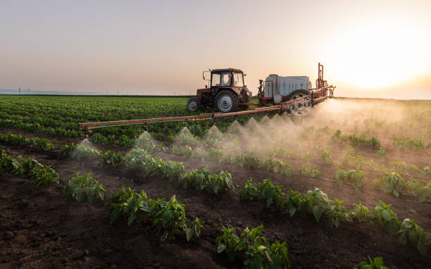 Best Insect Control  in Cimarron, KS