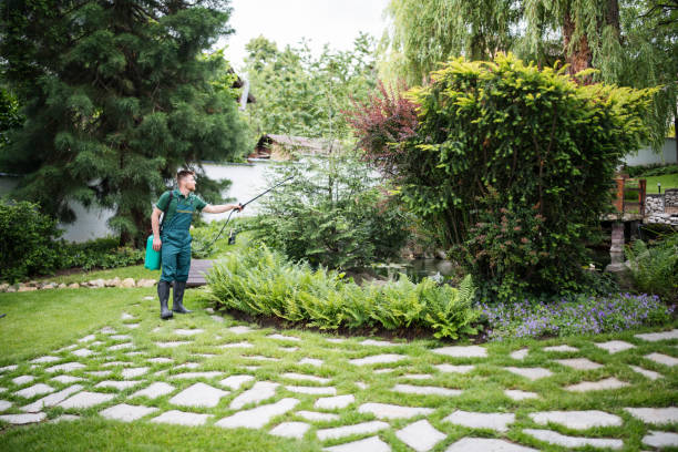 Best Pest Prevention Services  in Cimarron, KS
