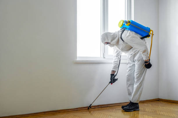 Best Pest Control Near Me  in Cimarron, KS