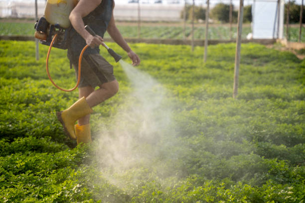 Best Mosquito Control Services  in Cimarron, KS