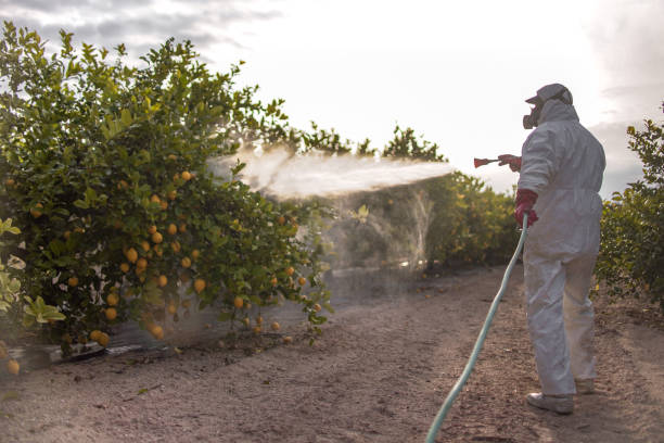 Best Exterminator Services  in Cimarron, KS