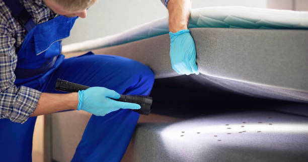 Pest Control Cost in Cimarron, KS