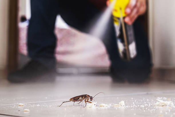 Best Best Pest Control Companies  in Cimarron, KS