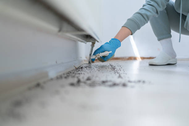 Best Ant Control Services  in Cimarron, KS
