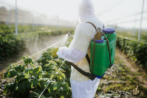 Best Best Pest Control Companies  in Cimarron, KS